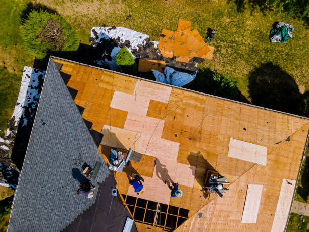 Best Storm Damage Roof Repair  in Ada, OH